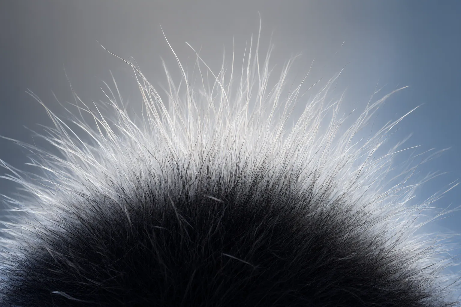 Editorial detail illustrating evidence and decision criteria for Alpha Matting Explained: Why It Matters for Hair, Fur, and Translucent Objects